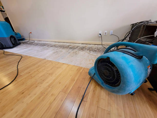 Reliable Basement Flood Cleanup contractor in Fremont, IN by Hirex Water Damage