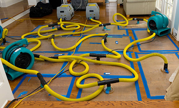 Professional Basement Flood Cleanup technician working in Fremont, IN